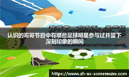 王中王资料大全